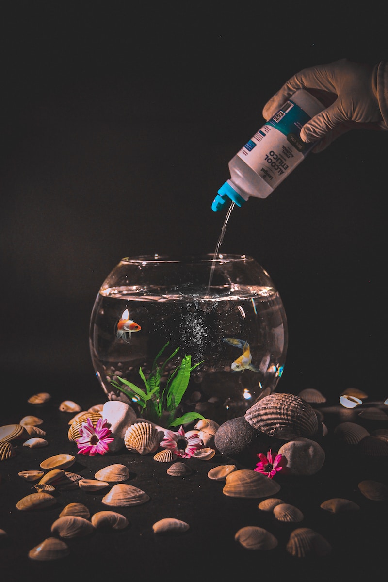 clear glass bottle pouring water on clear glass bowl